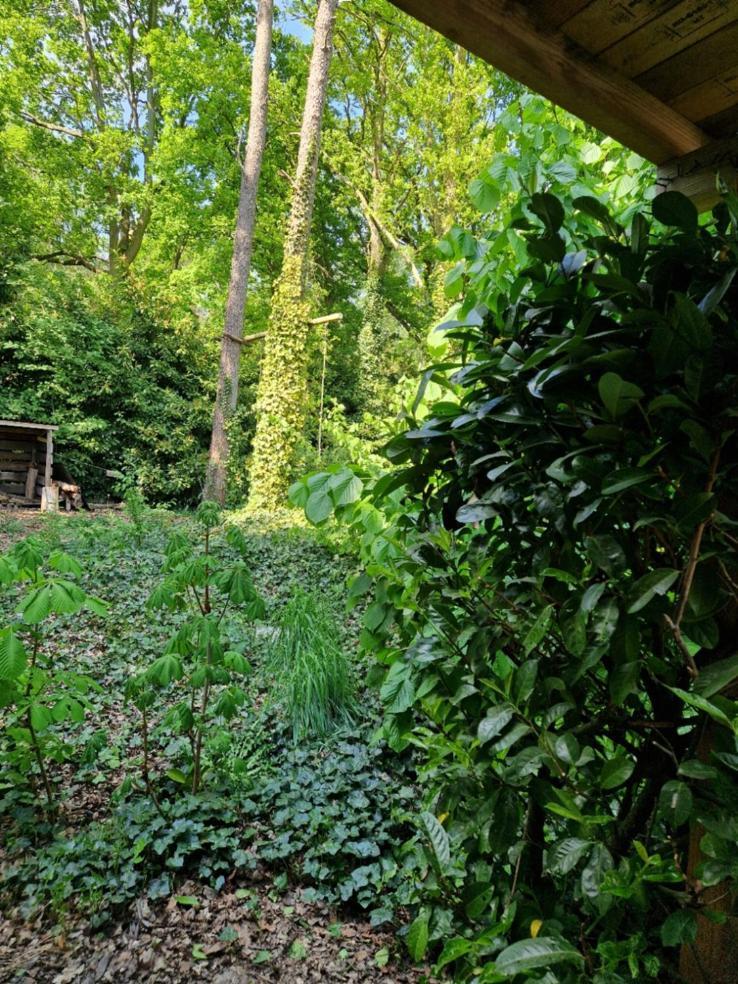 Benb Op De Vleet Vrijstaande Accommodatie Plantage Centrum エクステリア 写真